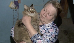 Chú mèo đi lạc cứu sống em bé bị bỏ rơi trong giá lạnh