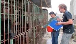 Gấu nuôi tại các trang trại tư nhân ở Quảng Ninh đang kêu cứu