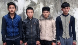 Băng nhóm 9X mang 2 xe tải đi trộm 29 con trâu bị khởi tố