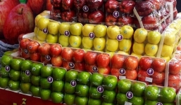 Táo Mỹ gây ung thư: Cơ quan chức năng đang rà soát chứ chưa thu hồi
