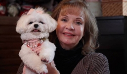 Gia tài triệu đô của những chú chó giàu nhất hành tinh