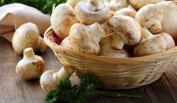 Những loại thực phẩm ăn nhiều không lo béo