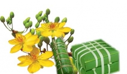 Những đối tượng tuyệt đối không được ăn bánh chưng 