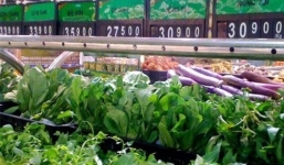Hà Nội: Hàng loạt siêu thị 'bị lừa' bán rau không rõ nguồn gốc