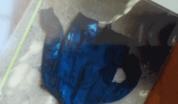 Vụ một gia đình bị sát hại: Nghi can hé lộ nguyên nhân ra tay tàn độc