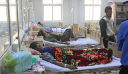 3 người nhập viện vì ăn cá nóc