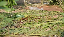 Vác mã tấu đi “nói chuyện” lại bị đối thủ đâm tử vong