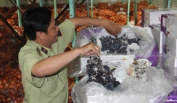 Phát hiện hàng chục tấn trái cây, nước ép hư hỏng ở chợ đầu mối Thủ Đức