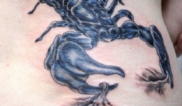 Bản tin 113 – chiều 28/1: Truy tìm tung tích nạn nhân tử vong, xăm đầy người…