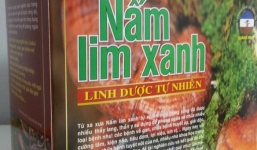 Giới thiệu Nấm Lim Xanh Tiên Phước Quảng Nam