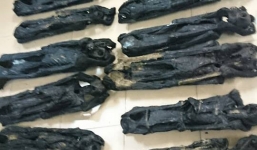 Phát hiện  20 cá thể linh trưởng khô trong xe khách