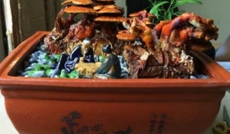 Những thú chơi kiểng độc đáo Tết Ất Mùi 2015