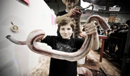 Lễ hội 'thảm sát' rắn đuôi chuông độc và nguy hiểm nhất hành tinh