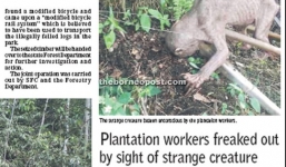 Sửng sốt phát hiện 'sinh vật lạ' ở Malaysia