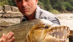 Những loài cá ăn thịt đáng sợ trên thế giới