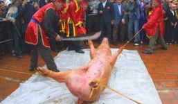 Lễ hội chém lợn ở Bắc Ninh: Truyền thống hay hủ tục?