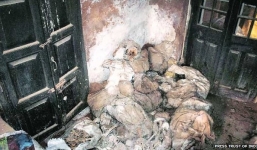 Phát hiện hàng chục phần thi thể người trong sở cảnh sát Ấn Độ