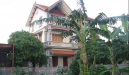 Nông dân trồng chuối, nuôi gà, tậu biệt thự, đại gia tiền tỉ lác mắt