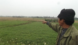 Chú rể bị sát hại sau đêm tân hôn: Kẻ thủ ác đã bỏ trốn?