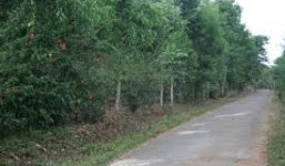 Chồng giả cướp, “ủ mưu” giết vợ giữa đường chỉ vì mâu thuẫn vặt