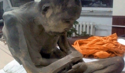 Nhà sư được ướp xác ở Mông Cổ chưa chết?