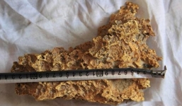 Cận cảnh cục vàng nặng 8kg nhặt được trên núi