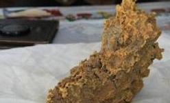 Sững sờ nhặt được cục vàng nặng gần 8 kg