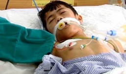 Cảnh báo Tết Nguyên đán: Mù mắt, tử vong do ngộ độc rượu