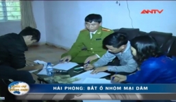 Kinh doanh nhà nghỉ kiêm môi giới mại dâm để tăng thu nhập