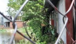 Bị chồng tát liên tiếp, người phụ nữ tự vẫn trong chuồng heo