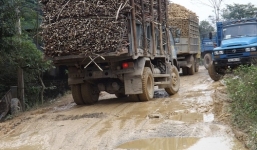 Xe quá tải trên 200\%: Chủ xe, lái xe sẽ bị khởi tố?