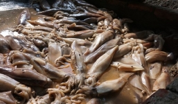 Vụ dùng ôxy già tẩy trắng mực: Phát hiện hoá chất tại cơ sở bán mực