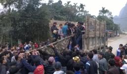 Thanh Hóa: Sập hầm khai thác đá xanh, ba người tử vong