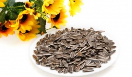 Lợi ích sức khỏe của hạt hướng dương có thể bạn chưa biết