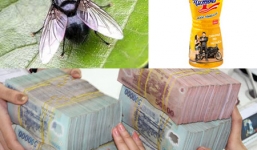 Vụ “con ruồi nửa tỷ đồng”: 'Tân Hiệp Phát đã xử sự thiếu khôn ngoan'