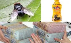 'Con ruồi giá nửa tỷ': Tân Hiệp Phát lên tiếng lúc này có phải là khôn ngoan?