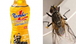 “Con ruồi giá nửa tỷ” và những sai lầm đáng tiếc của Tân Hiệp Phát