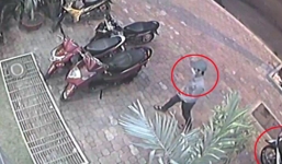 Siêu trộm bẻ khoá xe ga trước mặt hàng chục người