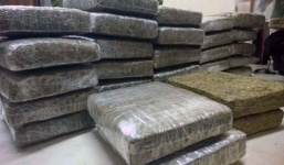 'Nữ quái' bị truy nã, phẫu thuật thẩm mỹ để tham gia đường dây ma túy khủng