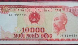 5 lựa chọn tiền lì xì độc lạ tết Ất Mùi 2015