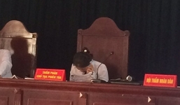 Chuyện cười ra nước mắt ở chốn pháp đình năm 2014