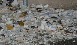 Đan Mạch: Ném đĩa vào cửa nhà hàng xóm để mừng năm mới