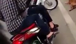 Phẫn nộ nhóm thanh niên hành hạ chó trên cầu Vĩnh Thịnh