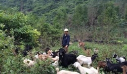 Chuyện đời dị nhân khuất phục lam sơn chướng khí núi Quèn Thờ