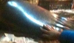 Hà Nội: Chen nhau sờ chân tượng phật quý lấy may