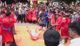 Lễ hội chém lợn ở Bắc Ninh: Máu nhuộm đỏ sân đình