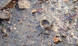 Tìm được nhẫn cưới sau 6 năm làm rơi xuống biển