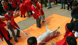 Lễ hội chém lợn tại Việt Nam, Đài Loan gây phẫn nộ trên báo nước ngoài