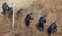 Nhật bắt nghi phạm nghi giết người theo kiểu IS