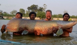 Bắt được 'thủy quái' khổng lồ nặng 208kg 